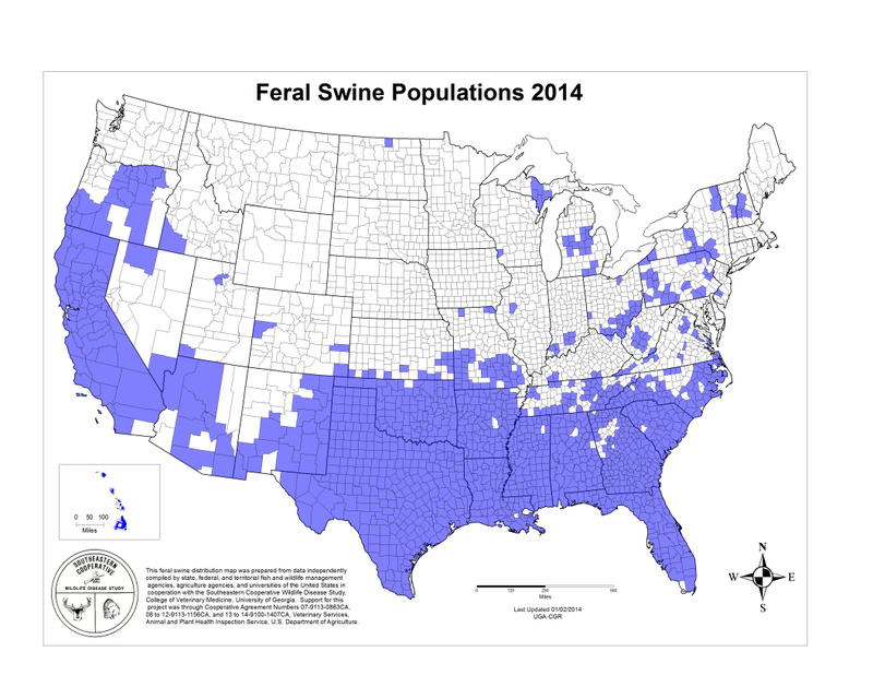 Image: USDA National Feral Swine Mapping System